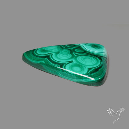 Malachite Cabochon Botryoidal Patterns