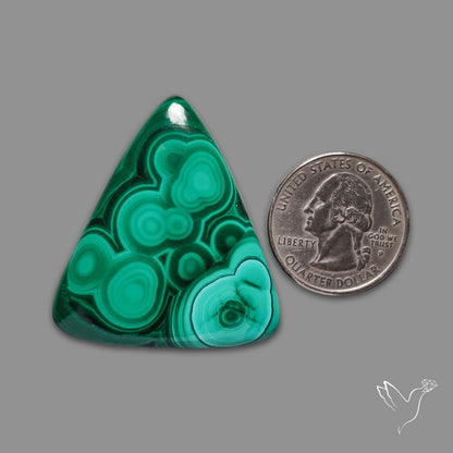 Malachite Cabochon Botryoidal Patterns