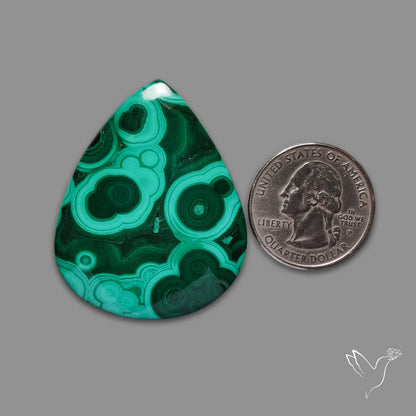 Malachite Cabochon Botryoidal Patterns