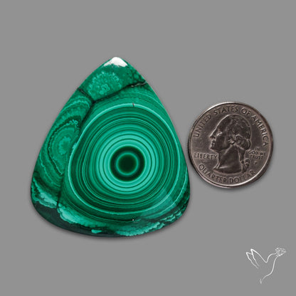 Malachite Cabochon Botryoidal Patterns