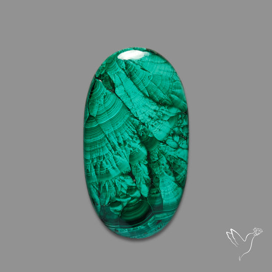 Malachite Cabochon with Rare Chattoyancy