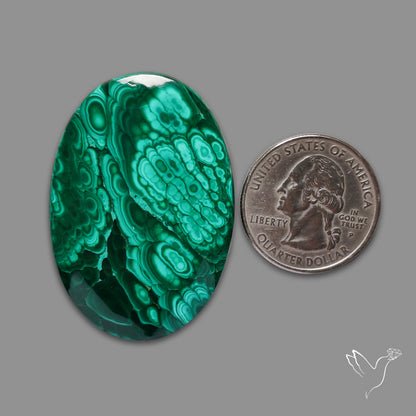 Malachite Cabochon Botryoidal Patterns