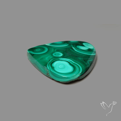 Malachite Cabochon Botryoidal Patterns