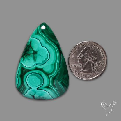 Malachite Cabochon Botryoidal Patterns