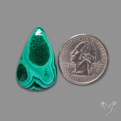 Malachite Cabochon Botryoidal Patterns