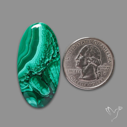 Malachite Cabochon Botryoidal Patterns