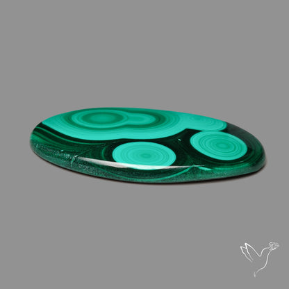 Malachite Cabochon Botryoidal Patterns