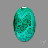 Malachite Cabochon Botryoidal Patterns