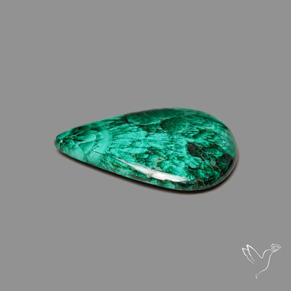 Malachite Cabochon with Rare Chattoyancy