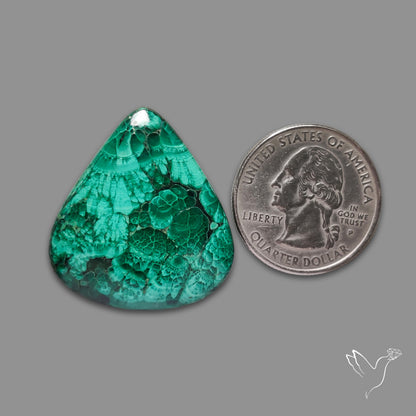 Malachite Cabochon with Rare Chattoyancy