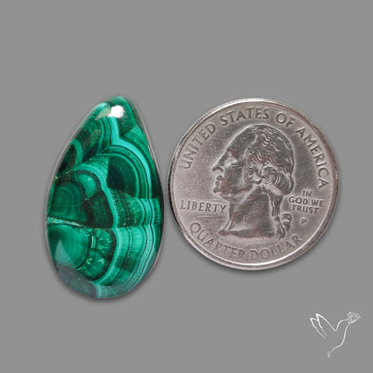 Malachite Cabochon with Rare Chattoyancy