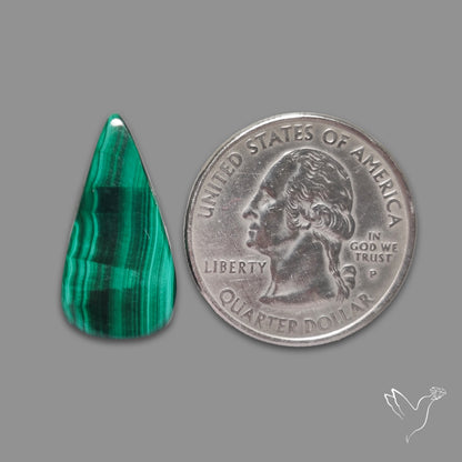 Malachite Cabochon with Rare Chattoyancy