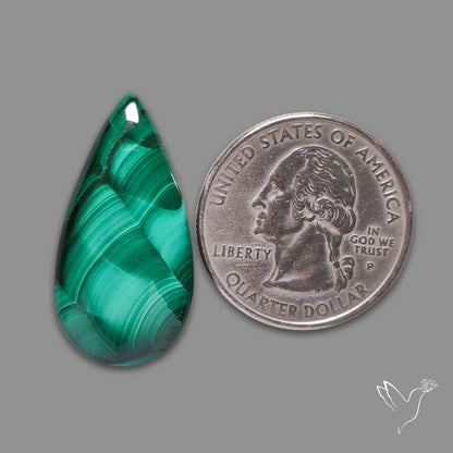 Malachite Cabochon with Rare Chattoyancy