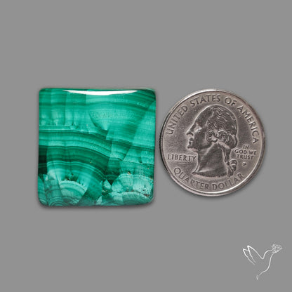 Malachite Cabochon with Rare Chattoyancy
