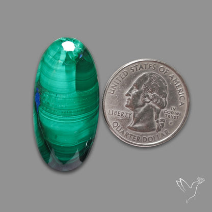 Malachite Cabochon with Rare Chattoyancy