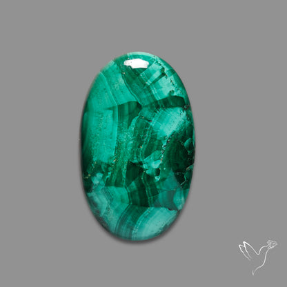 Malachite Cabochon with Rare Chattoyancy