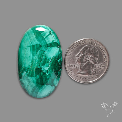 Malachite Cabochon with Rare Chattoyancy