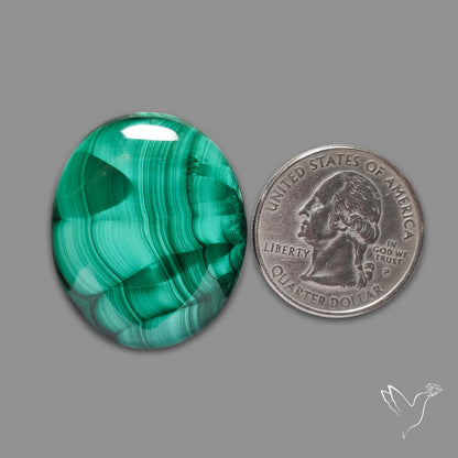 Malachite Cabochon with Rare Chattoyancy