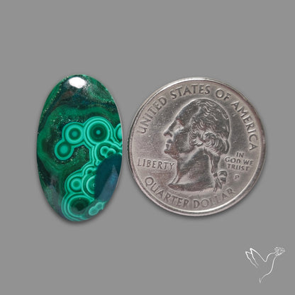 Malachite Cabochon Botryoidal Patterns