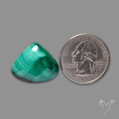 Malachite Cabochon with Rare Chattoyancy