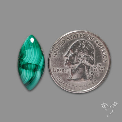 Malachite Cabochon with Rare Chattoyancy