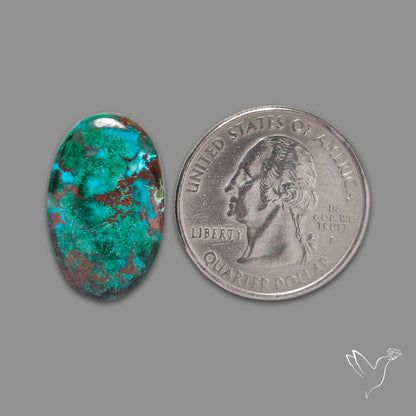 Peruvian Chrysocolla Malachite Cuprite Cabochon