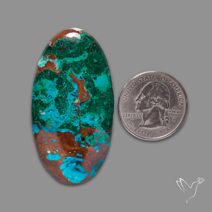Peruvian Chrysocolla Malachite Cuprite Cabochon