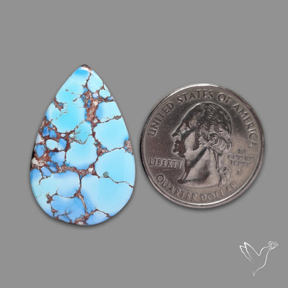 Rare Golden Hill Turquoise Cabochon (backed)