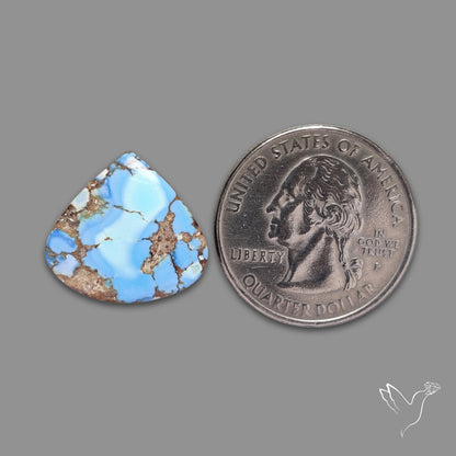 Rare Golden Hill Turquoise Cabochon (backed)