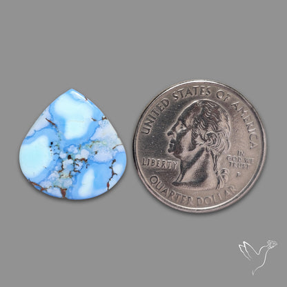 Rare Golden Hill Turquoise Cabochon (backed)