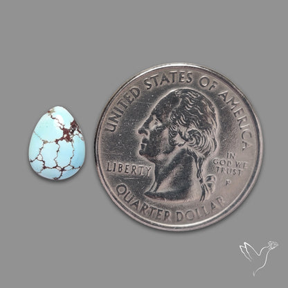 Rare Golden Hill Turquoise Cabochon (backed)