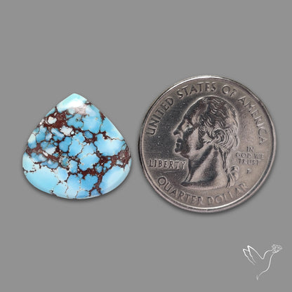 Rare Golden Hill Turquoise Cabochon (backed)