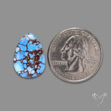 Rare Golden Hill Turquoise Cabochon (backed)