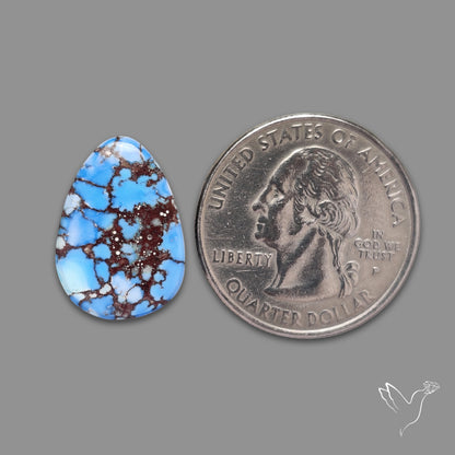 Rare Golden Hill Turquoise Cabochon (backed)
