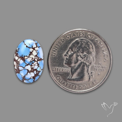 Rare Golden Hill Turquoise Cabochon (backed)