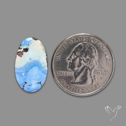 Rare Golden Hill Turquoise Cabochon (backed)