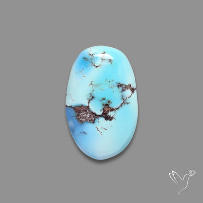 Rare Golden Hill Turquoise Cabochon (backed)