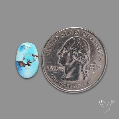 Rare Golden Hill Turquoise Cabochon (backed)