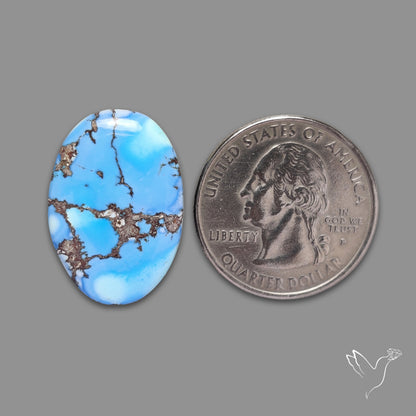 Rare Golden Hill Turquoise Cabochon (backed)