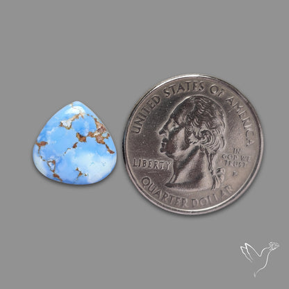 Rare Golden Hill Turquoise Cabochon (backed)