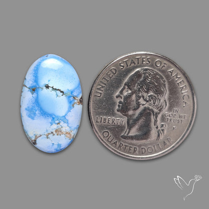 Rare Golden Hill Turquoise Cabochon (backed)