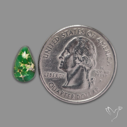 Sonoran Gold Turquoise Natural Green Cabochon