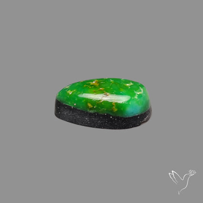 Sonoran Gold Turquoise Natural Green Cabochon
