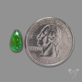 Sonoran Gold Turquoise Natural Green Cabochon