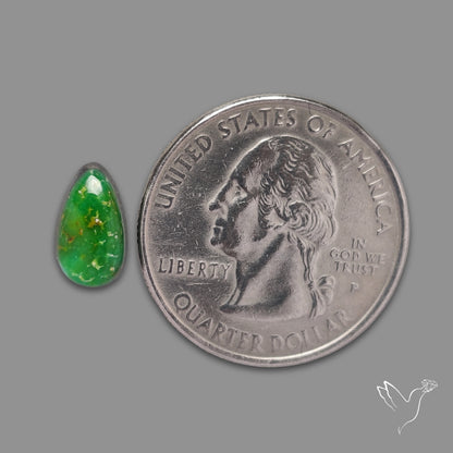 Sonoran Gold Turquoise Natural Green Cabochon