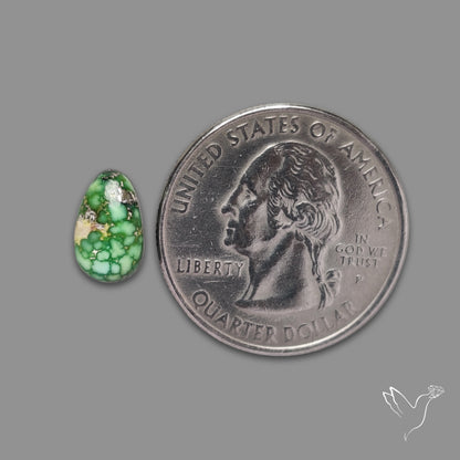 Sonoran Gold Turquoise Natural Green Cabochon