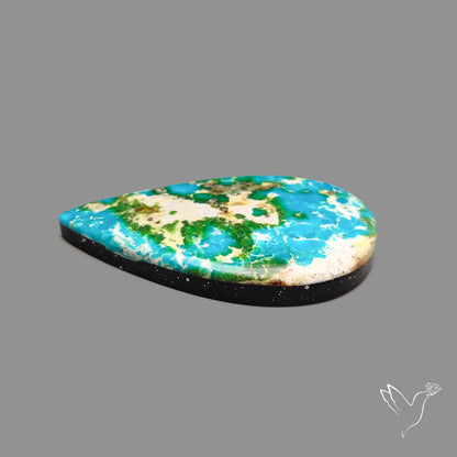 Sonoran Gold Turquoise Cabochon
