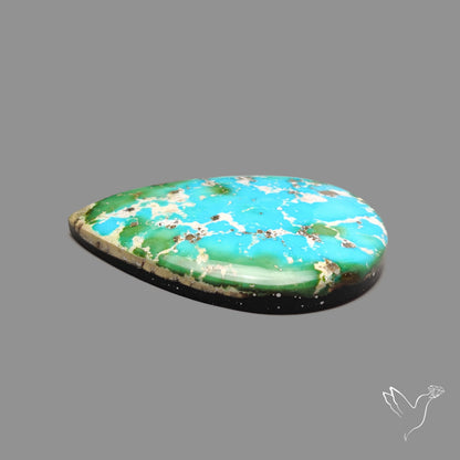 Sonoran Gold Turquoise Cabochon
