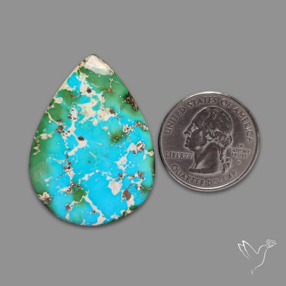 Sonoran Gold Turquoise Cabochon