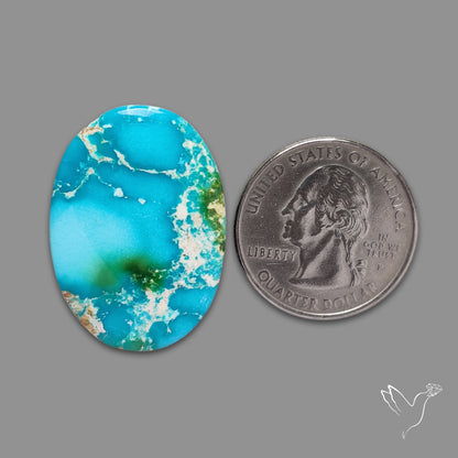 Sonoran Gold Turquoise Cabochon